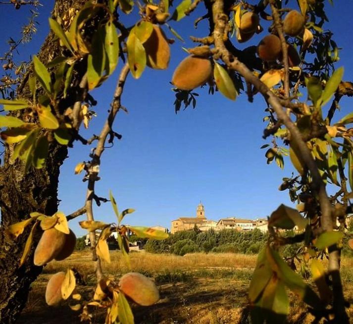 Hostal Can Barrina Арнес Екстер'єр фото
